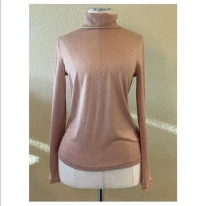 JCrew Champagne Shimmer Turtle Neck top